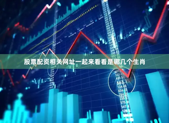 股票配资相关网址一起来看看是哪几个生肖