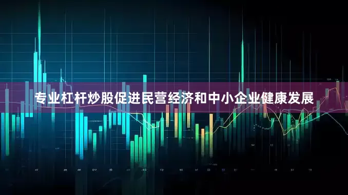 专业杠杆炒股促进民营经济和中小企业健康发展