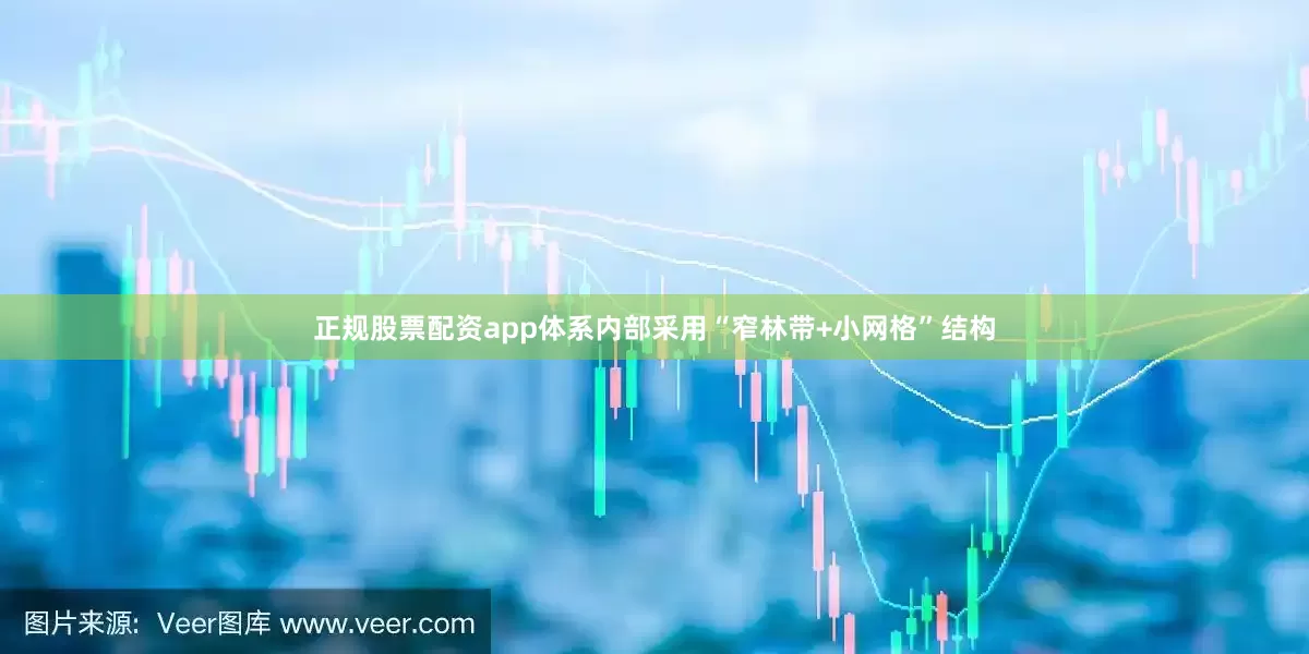 正规股票配资app体系内部采用“窄林带+小网格”结构